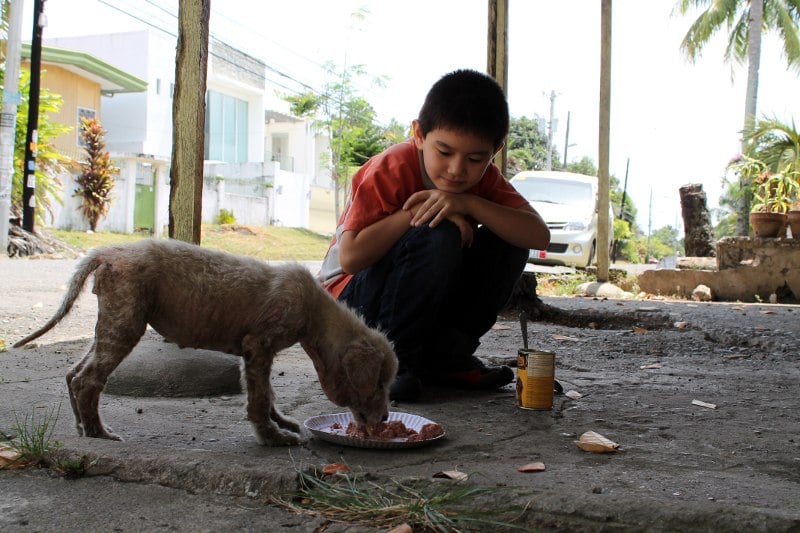[INCREIBLE] Historia del Niño criado por perros callejeros