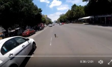 [VIDEO] Ciclista rescata a perro de ser atropellado