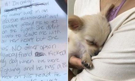 Mujer maltratada abandona Chihuahua en el Aeropuerto