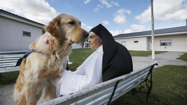 Adiestran en la Carcel a perros para discapacitados (gracias a una monja)