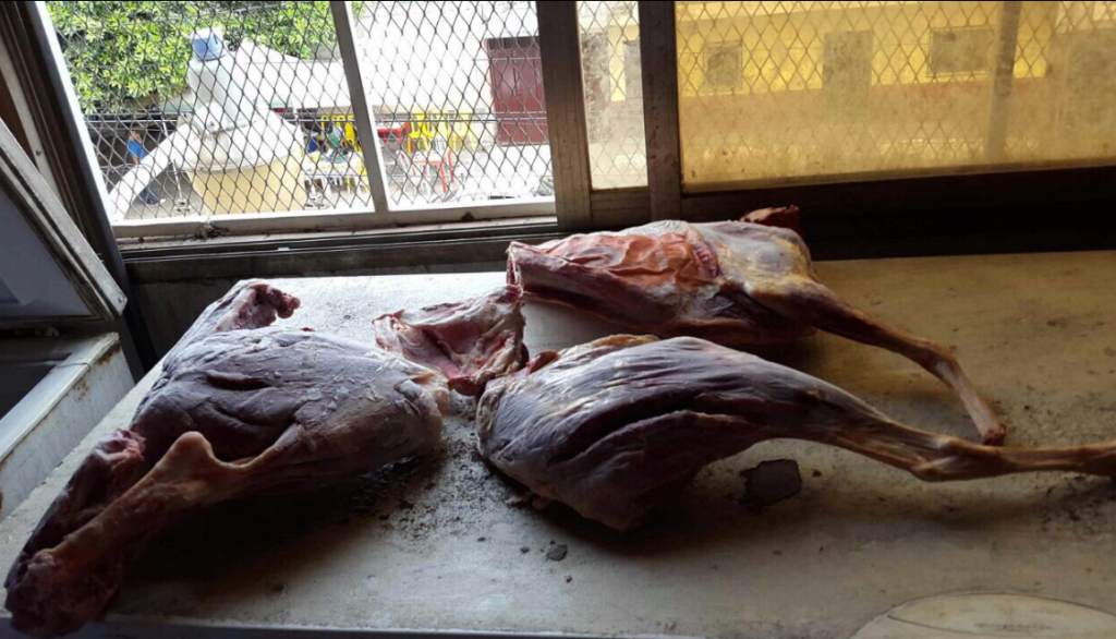 Cierran restaurante Chino por vender carne de Perro