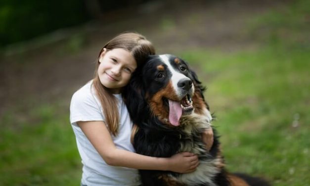 ¿Existen razas de perros recomendadas para autistas?