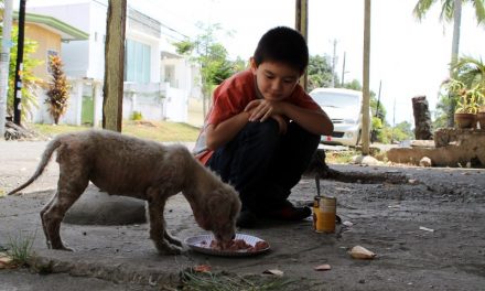 [INCREIBLE] Historia del Niño criado por perros callejeros