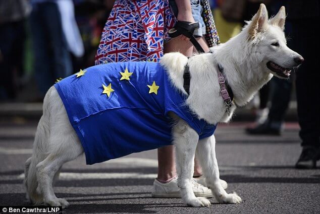 ¿Razas de perros no británicos afectados por el Brexit?