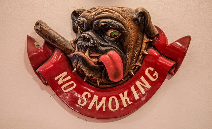 Deja de fumar si tienes mascotas. Conoce la razón