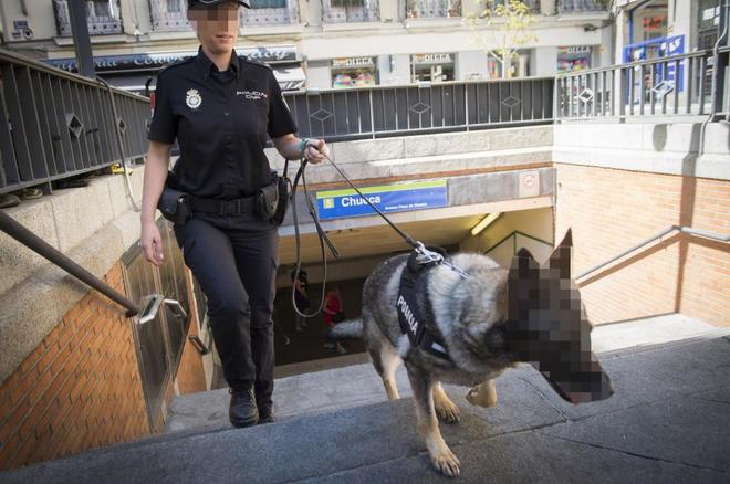 Agencia EFE pixela a un perro policía