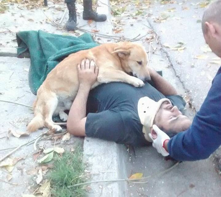 [VIDEO] Tony, el perro que abrazó a su dueño después de sufrir un accidente